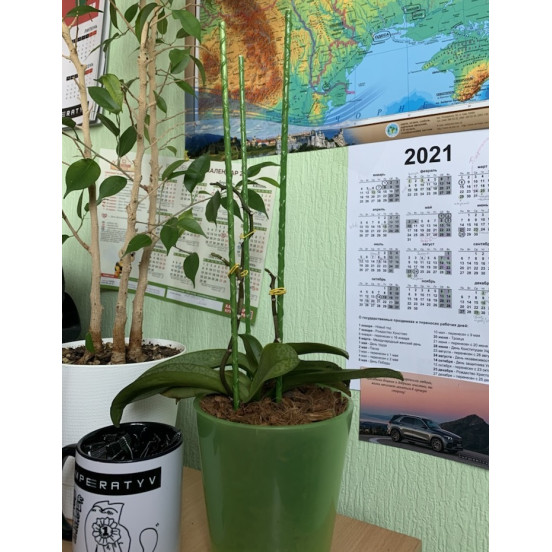 Композитная опора для цветов, садовых и домашних растений LIGHTgreen, d.6 мм, h. 100 см композитная