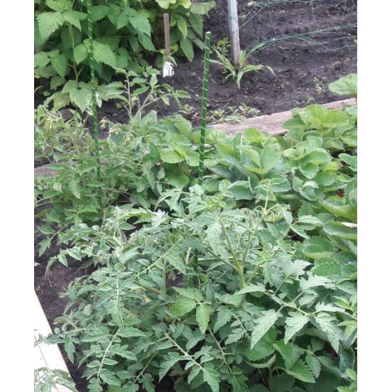 Композитная опора для цветов, садовых и комнатных растений LIGHTgreen, d.8 мм, h. 75 см композитная